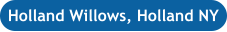 Holland Willows, Holland NY